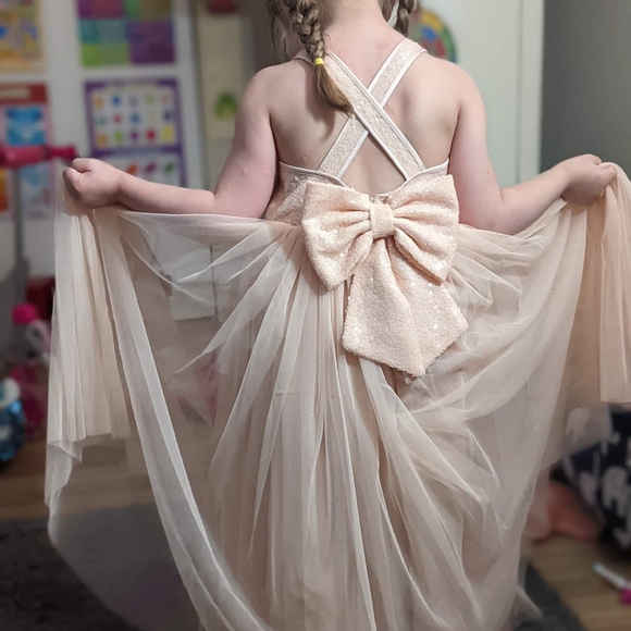 Beautiful Flower Girl Dress. - Picture 1 of 2